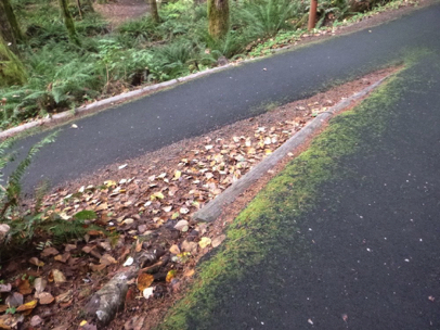 Paved trail has a drop off on one side – trail connects to another paved trail